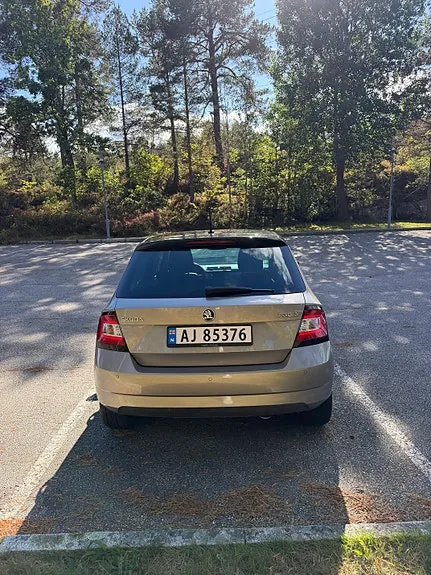 Skoda Fabia 2017 photo 4