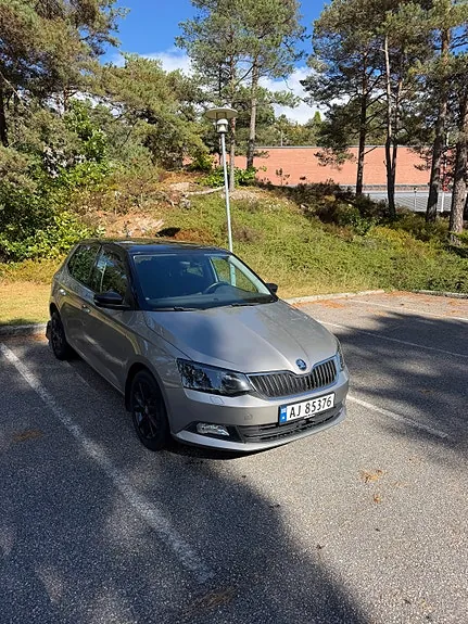 Skoda Fabia 2017 photo 2