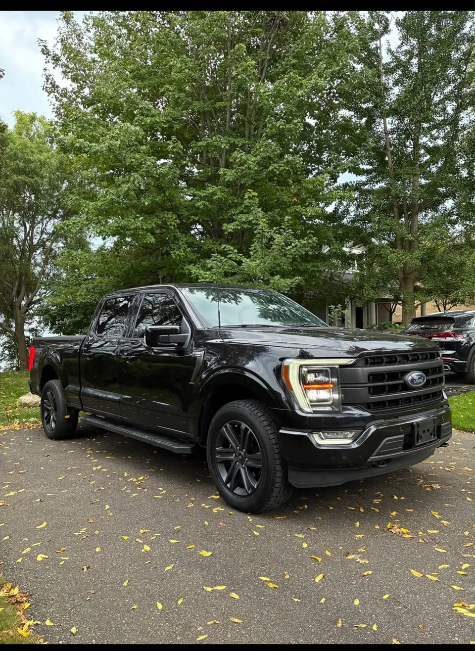 Ford F-150 2022 photo 4