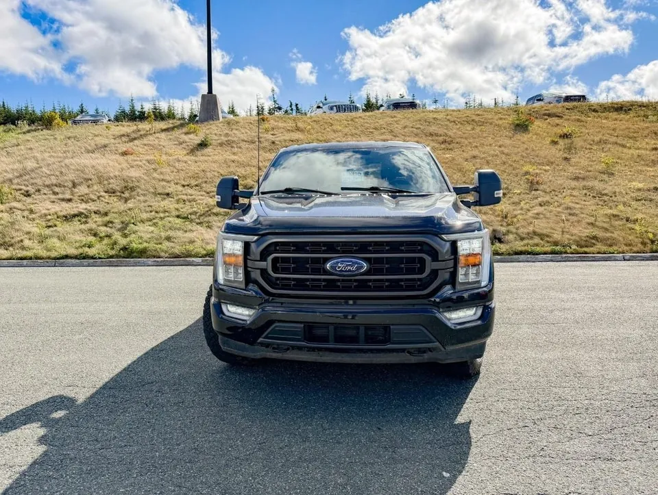 Ford F-150 2023 photo 3