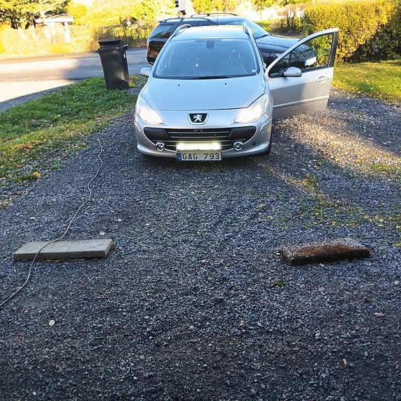 Peugeot 307 2008 photo 2