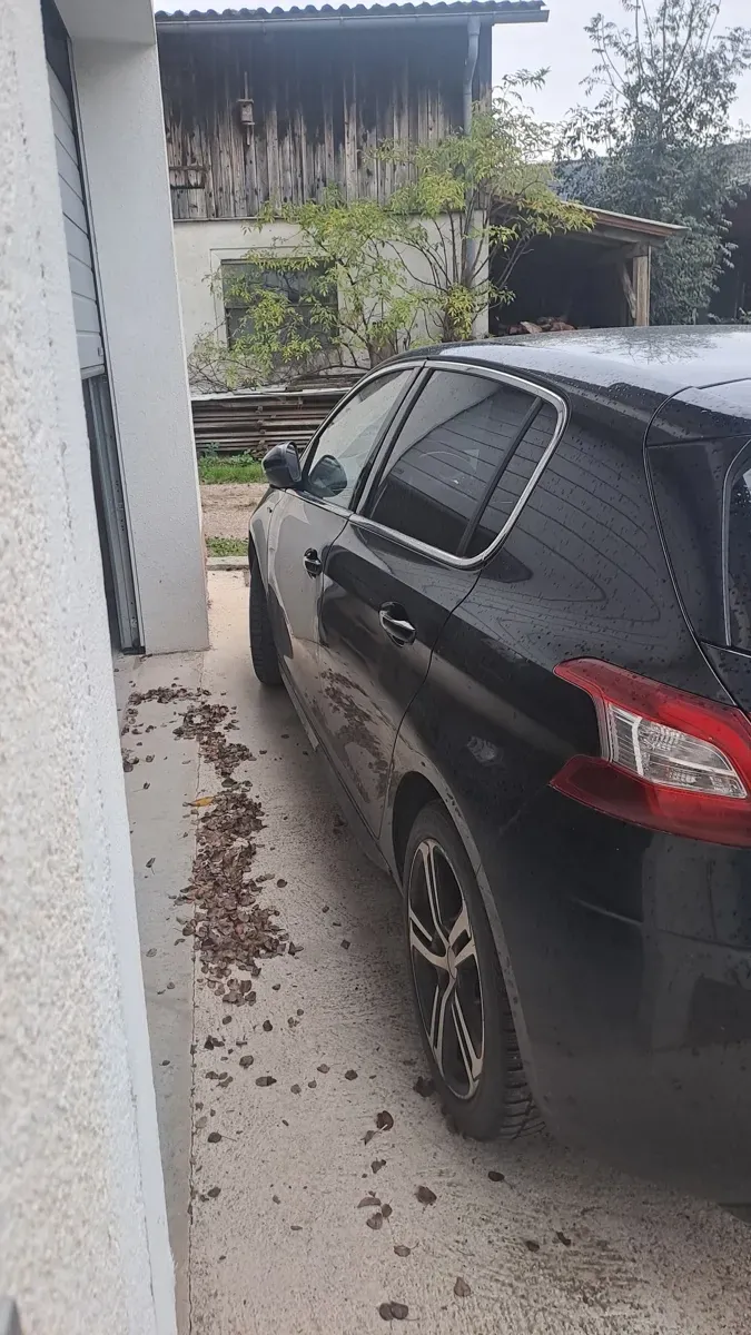 Peugeot 308 2016 photo 2