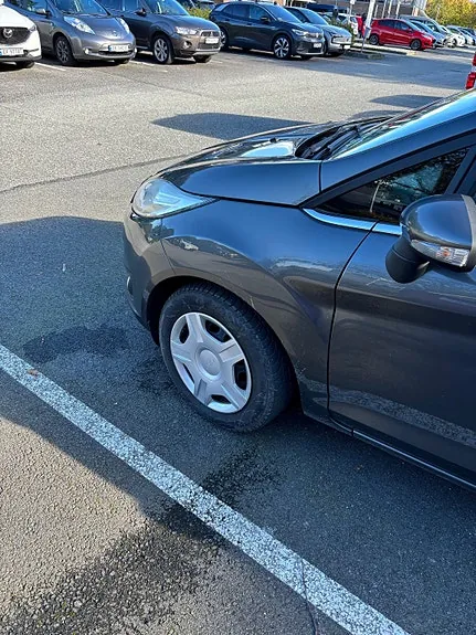 Ford Fiesta 2016 photo 2