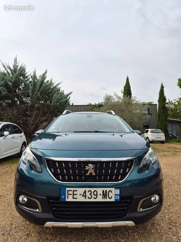 Peugeot 2008 2019 photo 3