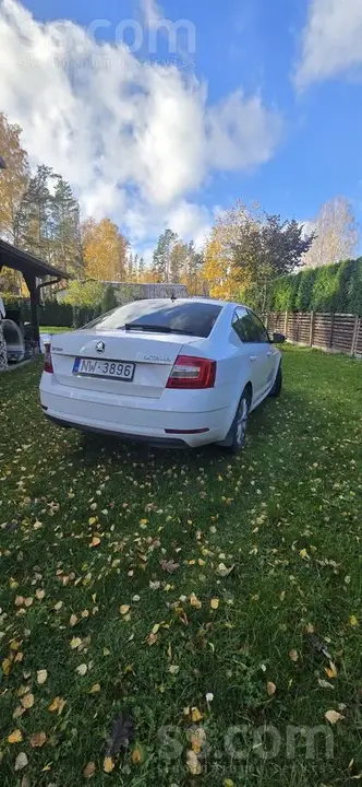 Skoda Octavia 2017 photo 4