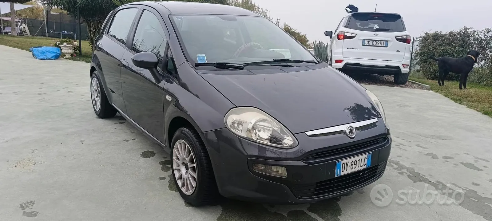 Fiat Punto Evo 2010 photo 4