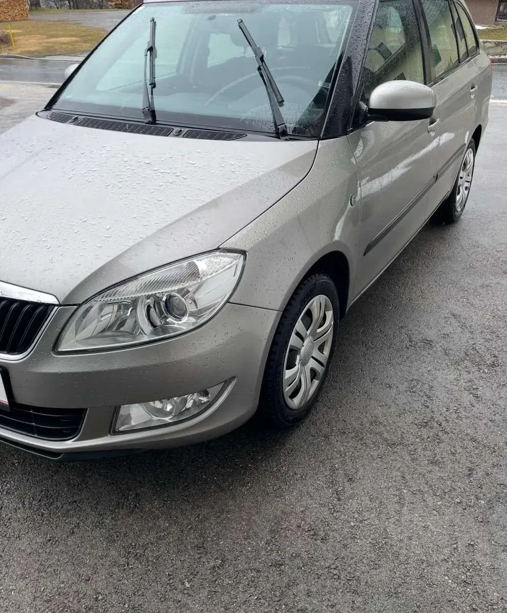 Skoda Fabia 2010 photo 2