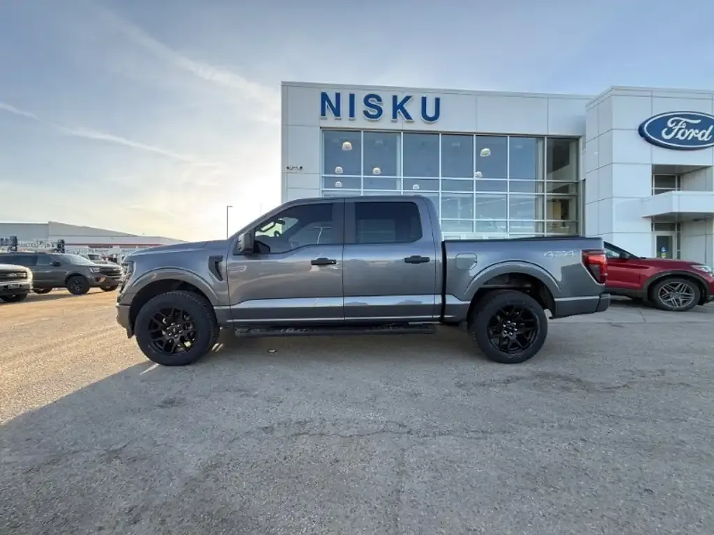 Ford F-150 2024 photo 4