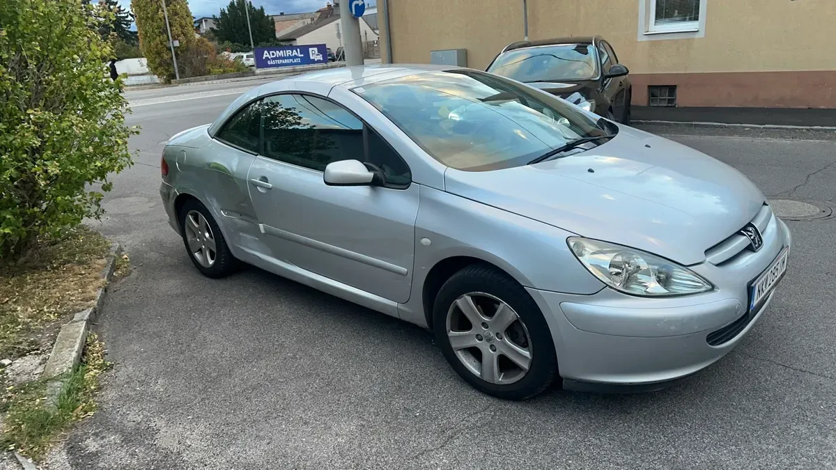 Peugeot 307 2003 photo 3