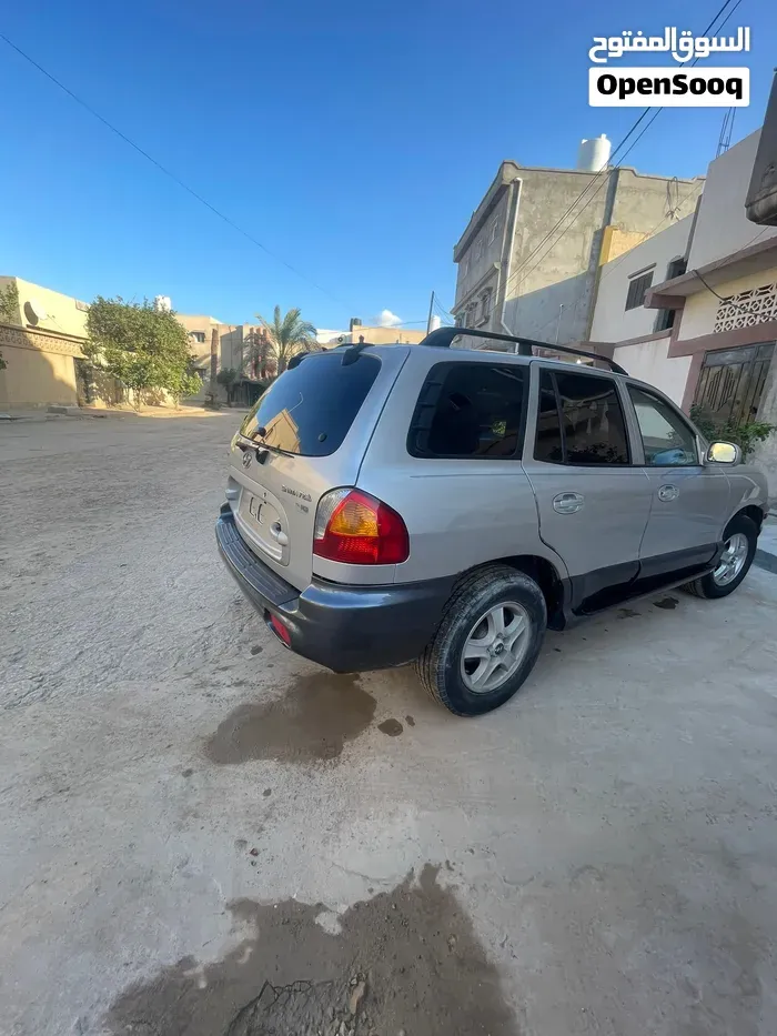 Hyundai Santa Fe 2004 photo 4