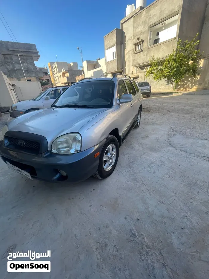Hyundai Santa Fe 2004 photo 3