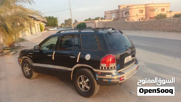 Hyundai Santa Fe 2004 photo 5