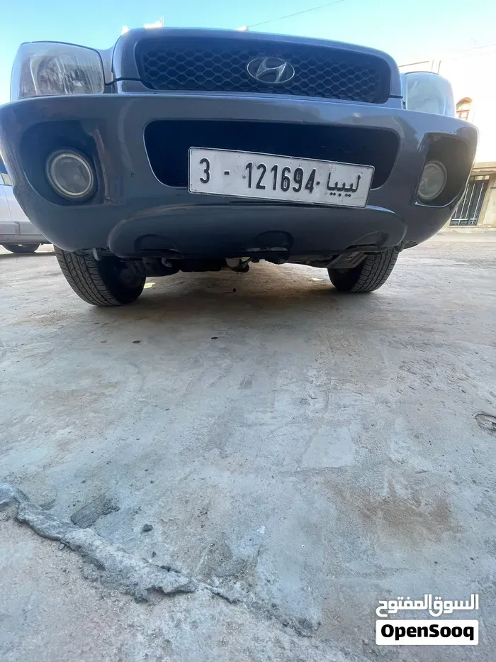Hyundai Santa Fe 2004 photo 2