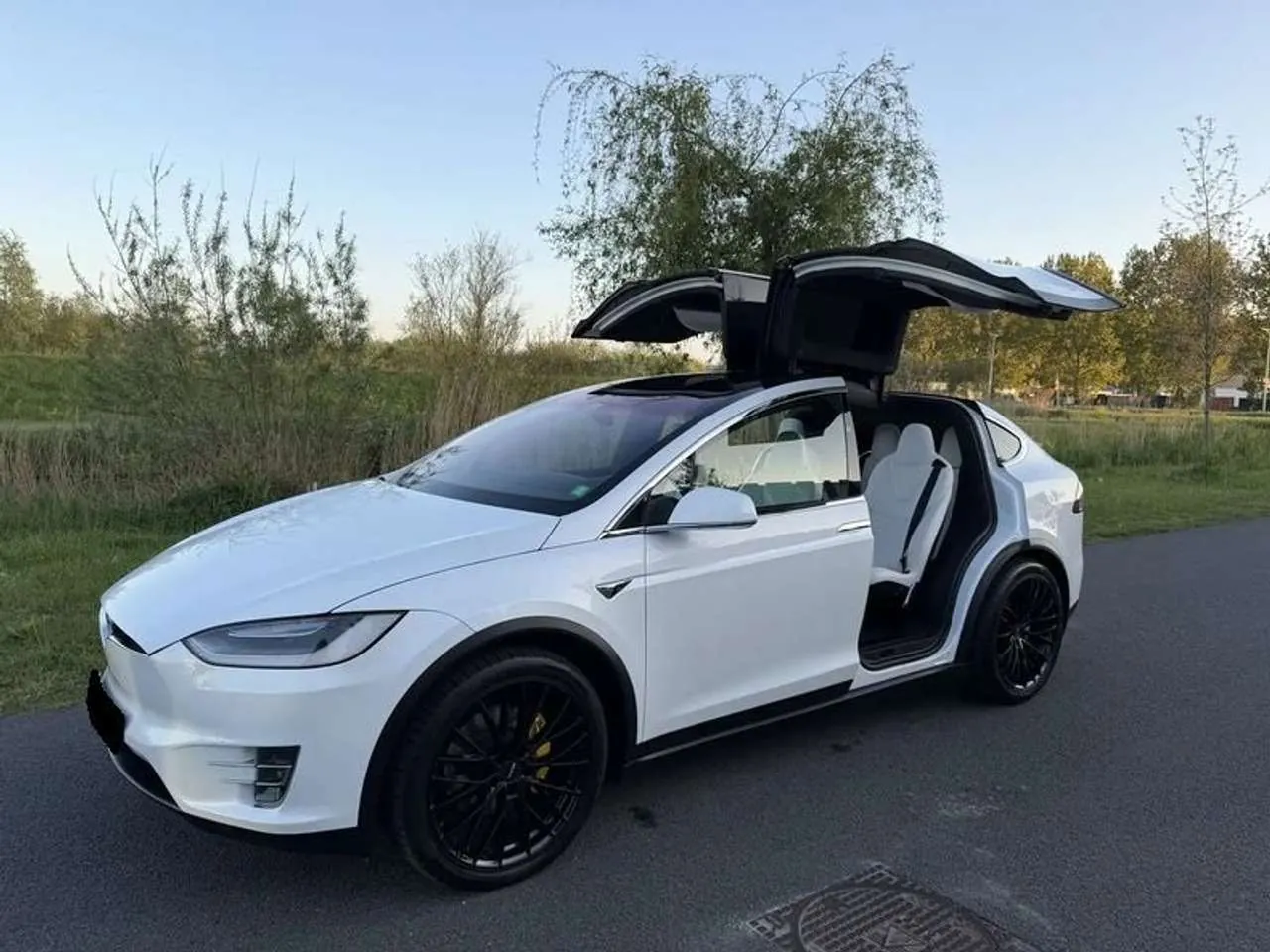 Tesla Model X 2018 photo 3