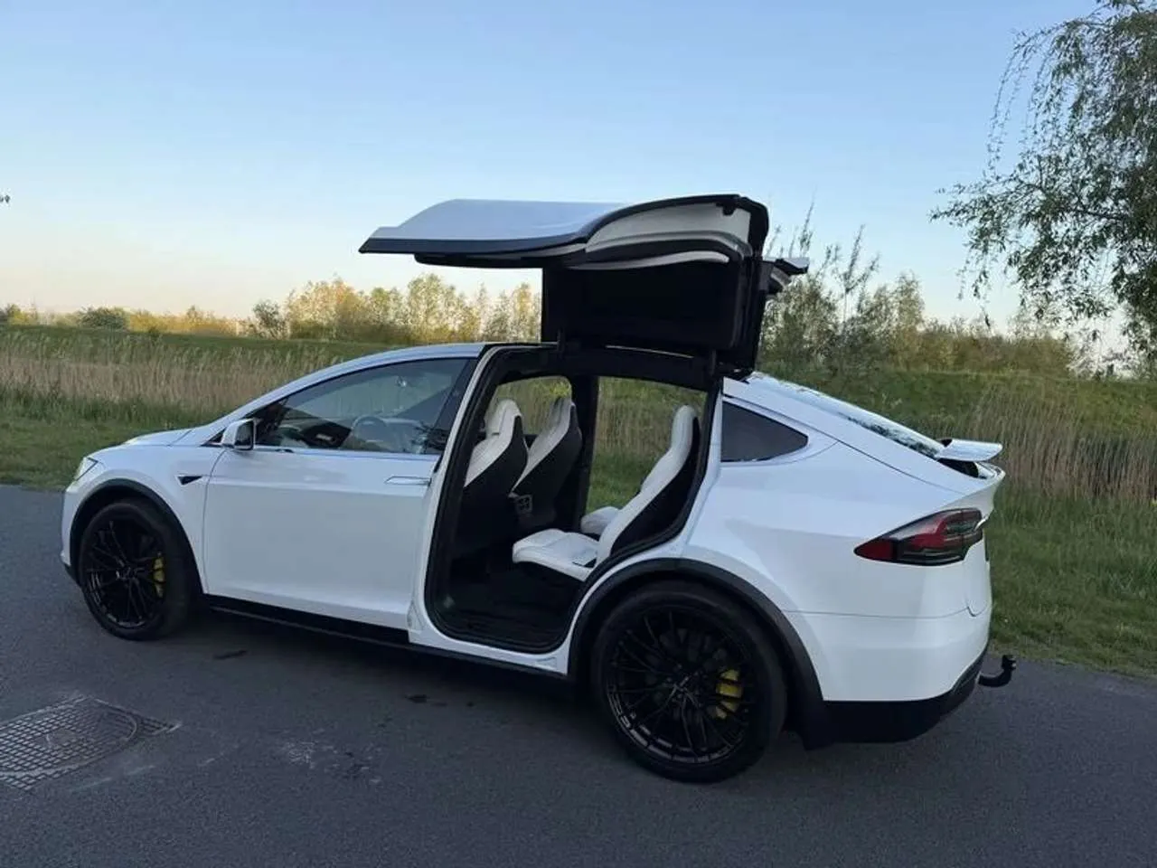 Tesla Model X 2018 photo 5