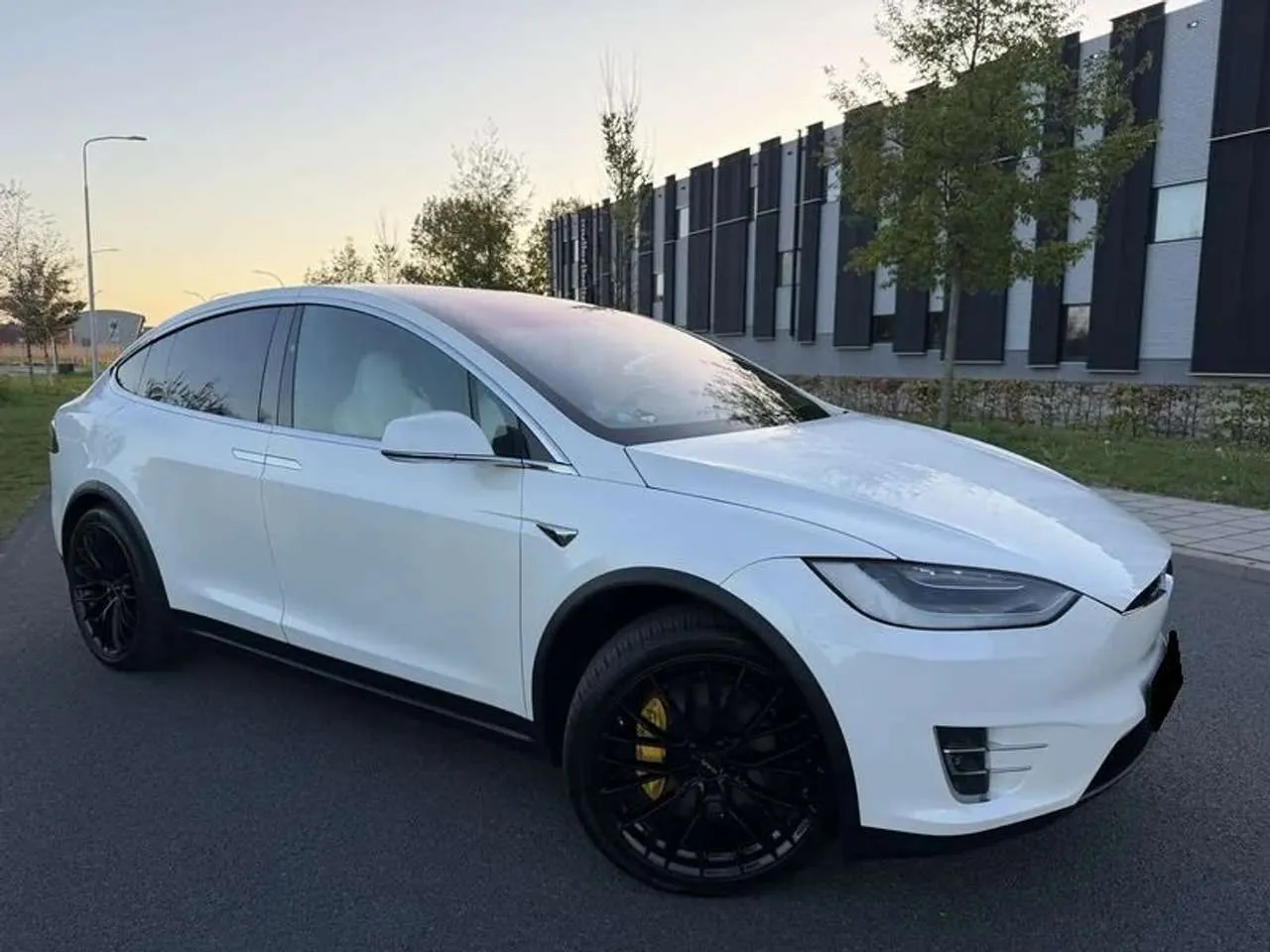 Tesla Model X 2018 photo 2