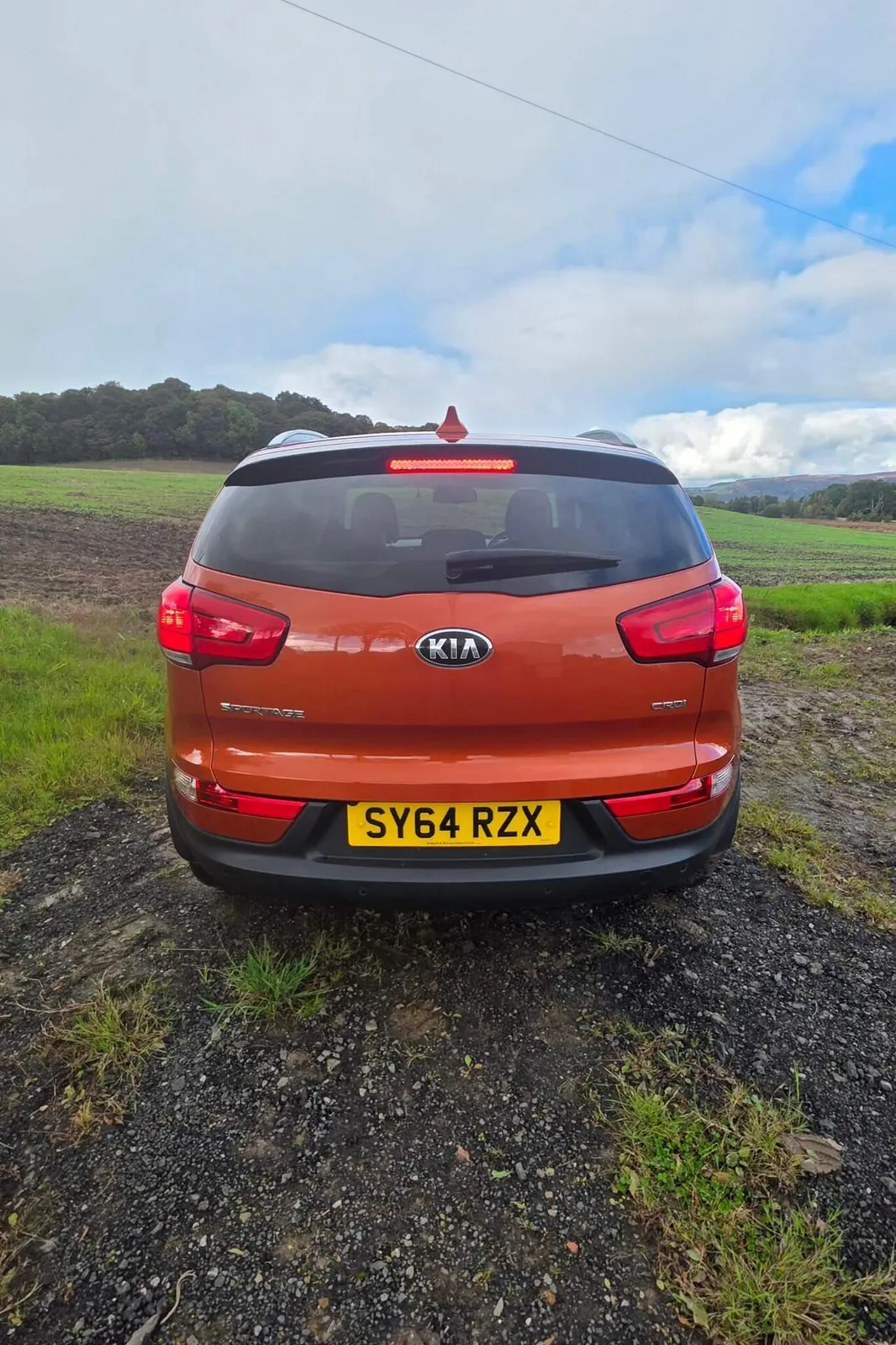 Kia Sportage 2014 photo 4