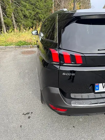 Peugeot 5008 2019 photo 4