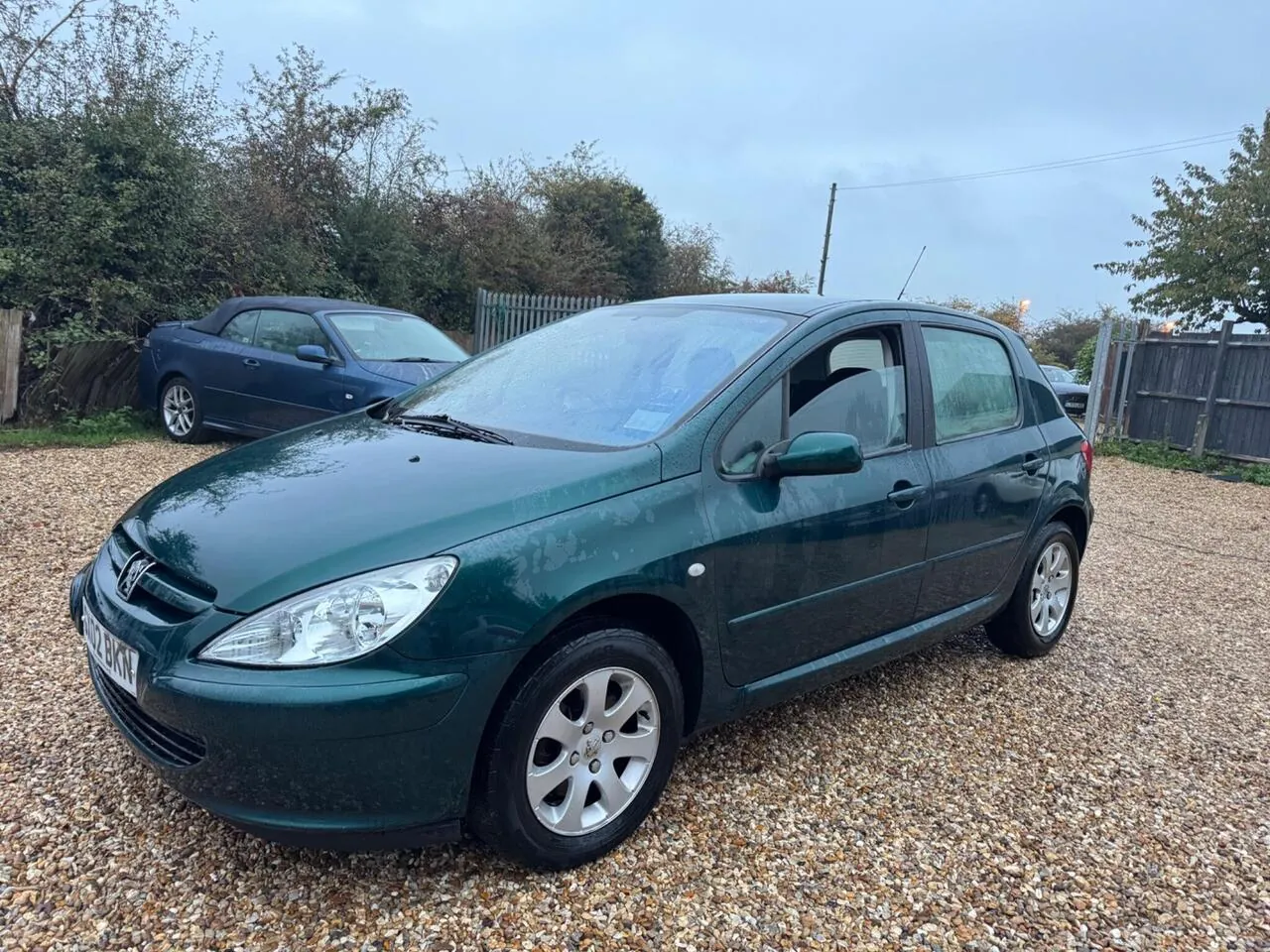 Peugeot 307 2002 photo 4