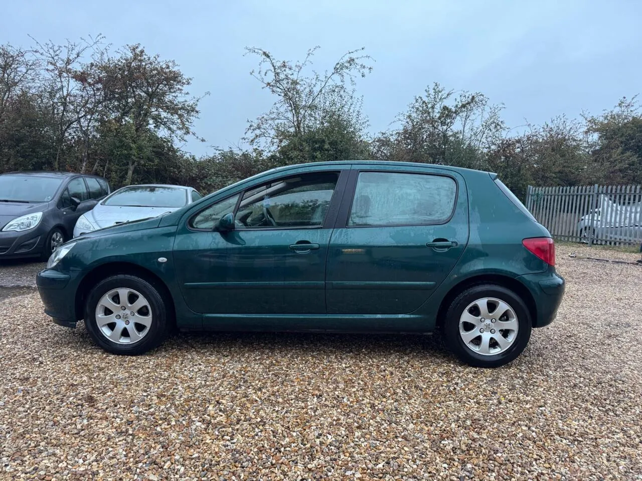 Peugeot 307 2002 photo 5