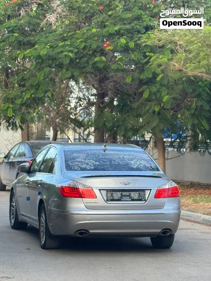 Genesis Sonata 2010 photo 4
