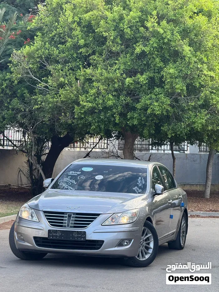 Genesis Sonata 2010 photo 2