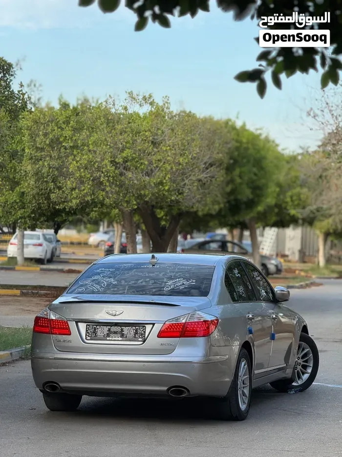 Genesis Sonata 2010 photo 3