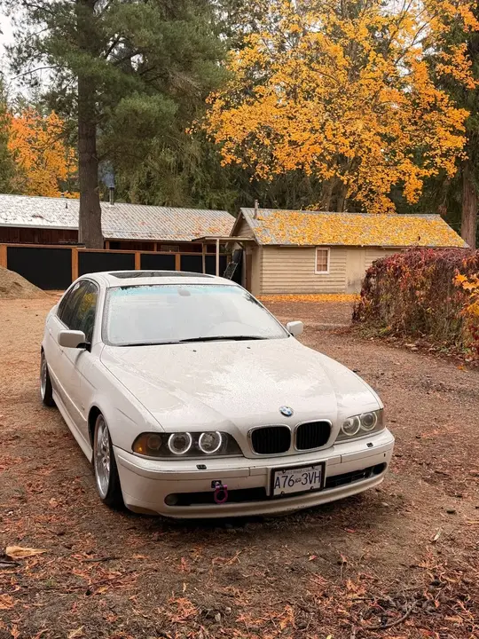 BMW 5 Series 2003 photo 3