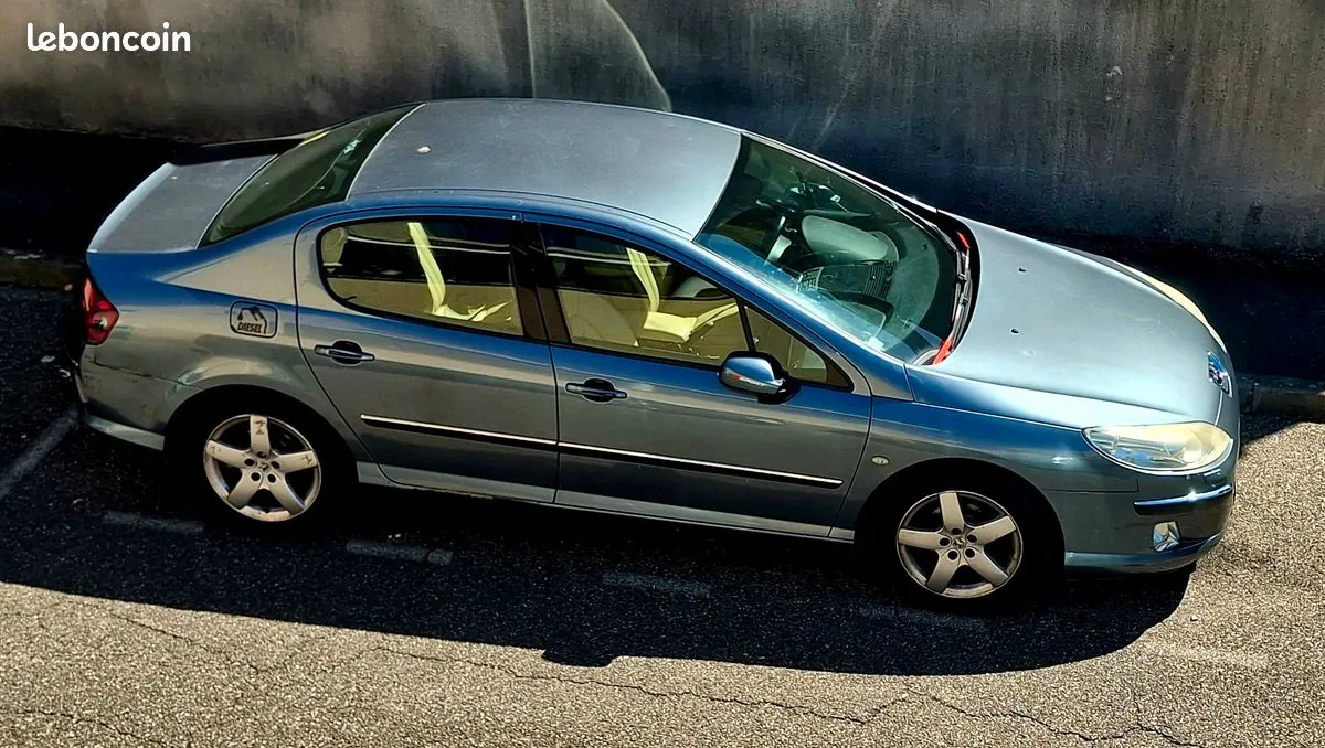 Peugeot 407 2005 photo 2