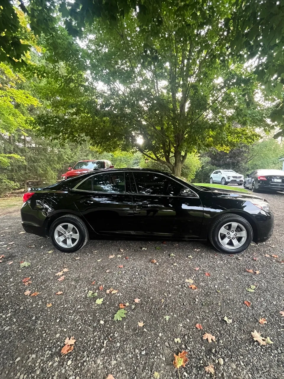Chevrolet Malibu