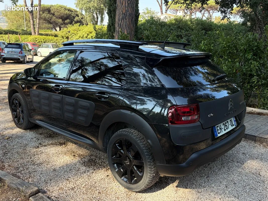 Citroen C4 Cactus 2016 photo 4