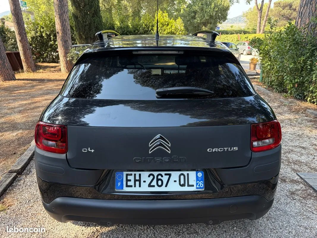 Citroen C4 Cactus 2016 photo 5