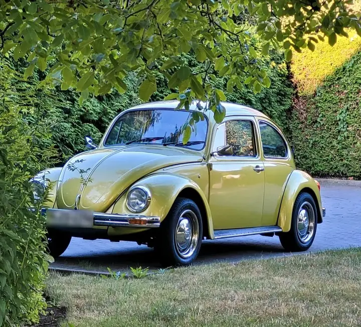 Volkswagen Käfer