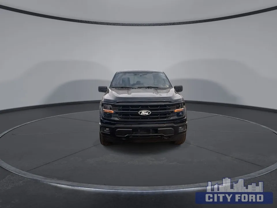 Ford F-150 2024 photo 3