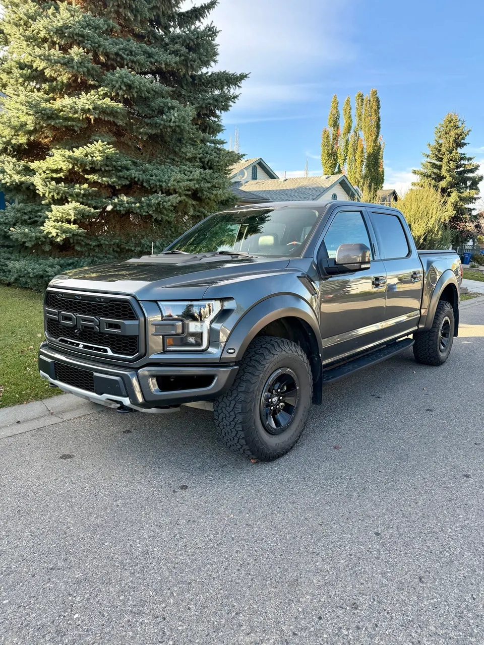 Ford F-150 Raptor 2018 photo 3