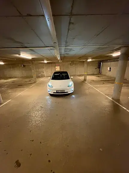 Tesla Model 3 2021 photo 3