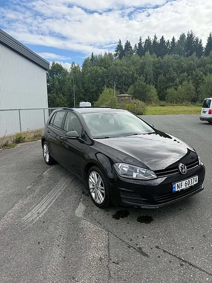 Volkswagen Golf Vii 2013 photo 2