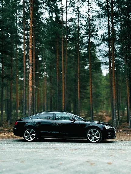 Audi A5 2014 photo 3