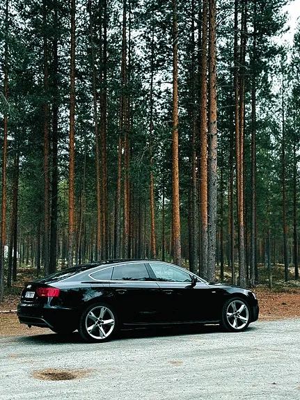 Audi A5 2014 photo 2