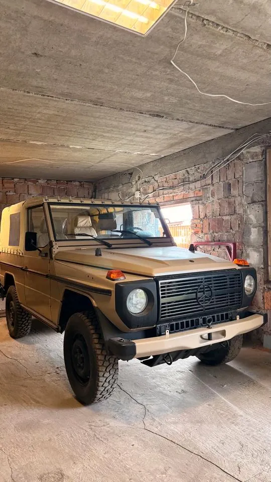 Mercedes-Benz 250 Gd Wolf