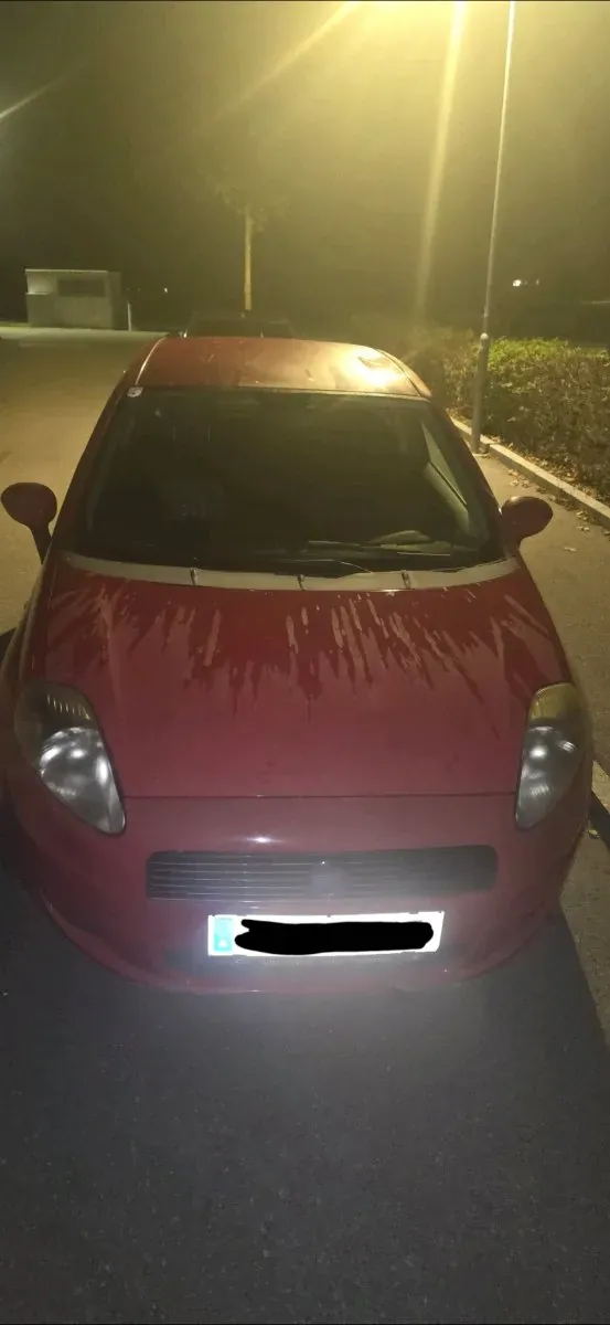 Fiat Punto 2008 photo 2