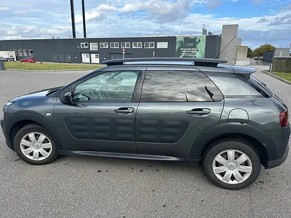 Citroen C4 Cactus 2015 photo 4