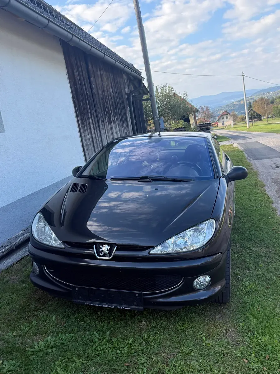 Peugeot 206 2004 photo 3