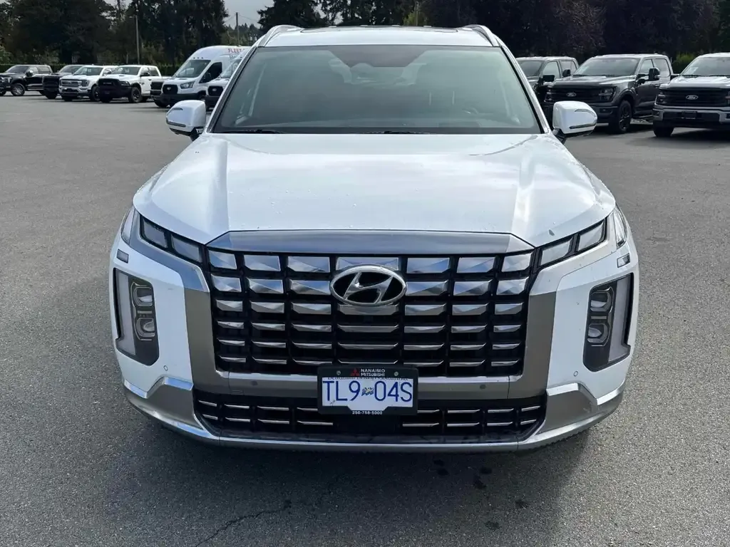Hyundai Palisade 2024 photo 2