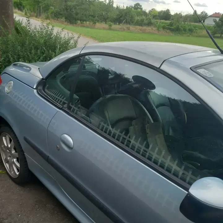 Peugeot 206 Cc