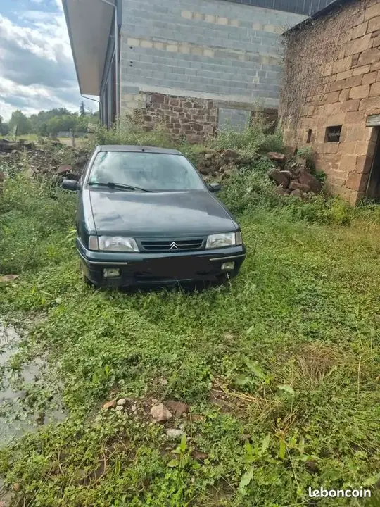 Citroen Zx