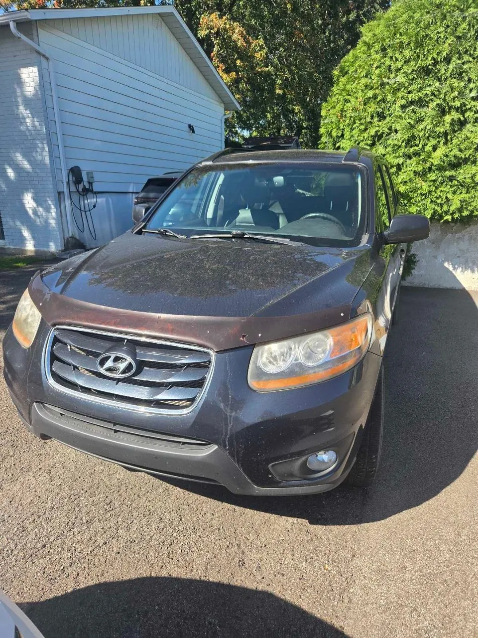 Hyundai Santa Fe 2011 photo 2