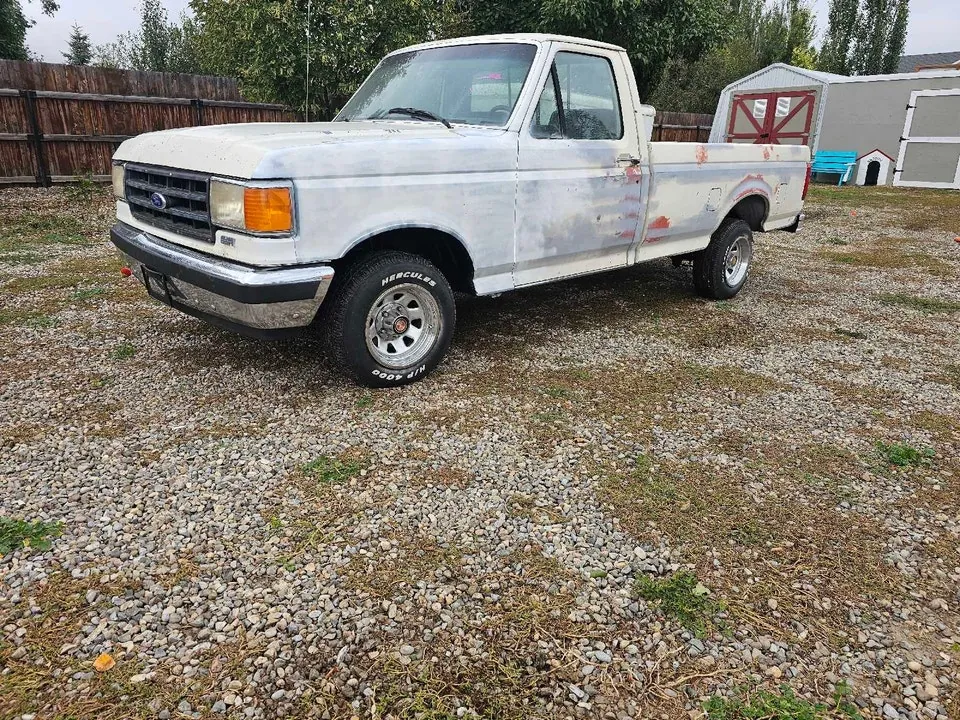 Ford F-150 1988 photo 2
