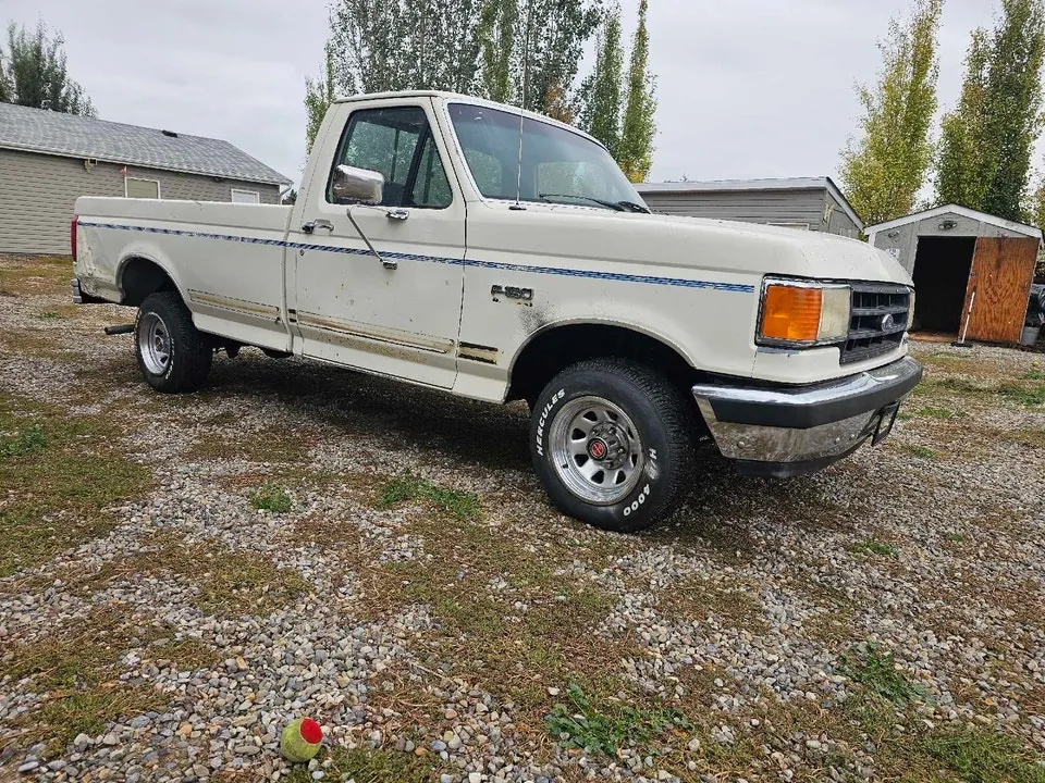 Ford F-150 1988 photo 3