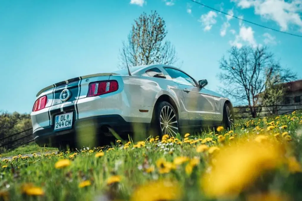 Ford Mustang 2010 photo 2